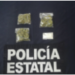 Cinco detenidos por posesión de marihuana y cristal en S.L.P.