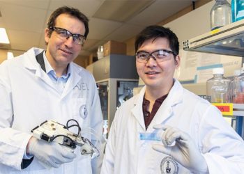Impresora de piel 3D que puede curar quemaduras graves