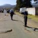 Hallan 24 cadáveres en una fosa clandestina en Coeneo, Michoacán