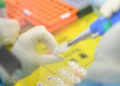 La OMS anuncia que la vacuna contra el coronavirus podría estar lista en 18 meses