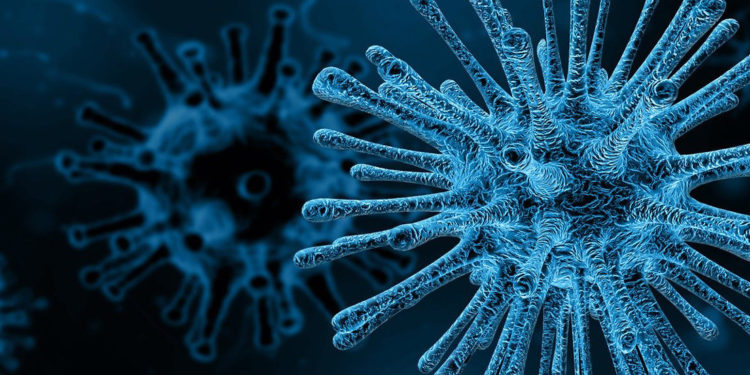 Descubren virus que podría abrir el camino a una vacuna universal