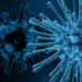 Descubren virus que podría abrir el camino a una vacuna universal