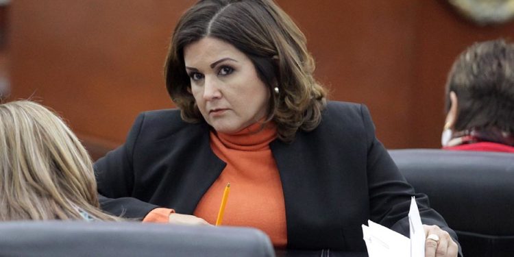 Integrantes de la Comisión de Ecología se reunieron con la Asociación Civil “Ciudadanos Observando”