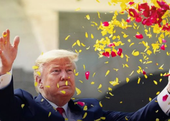 No creo que nadie haya hecho más que yo: Trump