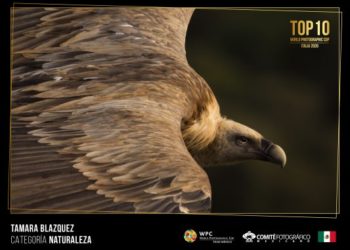 México quedó como finalista en la Copa Mundial de Fotografía
