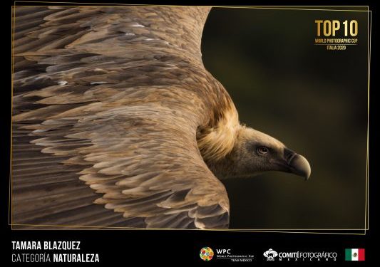 México quedó como finalista en la Copa Mundial de Fotografía