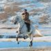 Kim Jong-un amante de los caballos rusos