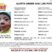 Activan Alerta Amber para localizar a menor de dos meses de edad