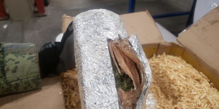Personal militar aseguró 12 kilos de marihuana en Aeropuerto Potosino