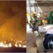 ¡Tragedia! Incendio afecta albergue de perros, gatos y borregos en Chalco, Edomex