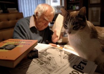 Artistas y escritores que han compartido su amor por los gatos