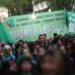 La iniciativa para que se garantice el aborto en todo el país