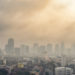 El impacto de las ciudades en nuestra salud