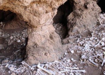 En Isla Canarias descubren cueva prehispánica con 72 momias