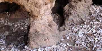 En Isla Canarias descubren cueva prehispánica con 72 momias