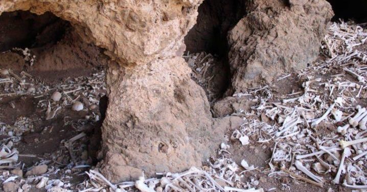 En Isla Canarias descubren cueva prehispánica con 72 momias