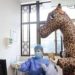 En China mujer usa disfraz de jirafa para entrar a hospital y evitar contagio