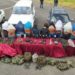 Capturan en Venezuela a 14 integrantes del grupo paramilitar “Los rastrojos”