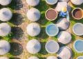 Alimentos sintéticos: una proteína hecha con agua, electricidad y aire