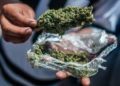 La prohibición de drogas en México es lo más fallido que se ha hecho