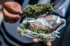 La prohibición de drogas en México es lo más fallido que se ha hecho