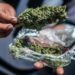 La prohibición de drogas en México es lo más fallido que se ha hecho