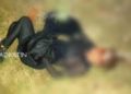 Encuentran cadáver de mujer en Almoloya del Río