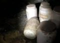 Encuentran frascos con lenguas humanas en una casa de Florida