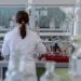 Laboratorio en California cree haber descubierto la vacuna contra el Covid-19