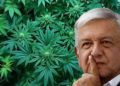 Mi gobierno no piensa en uso lúdico de la mariguana, sólo para fines médicos: AMLO