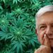Mi gobierno no piensa en uso lúdico de la mariguana, sólo para fines médicos: AMLO