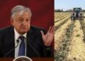 AMLO niega recorte a presupuesto del campo