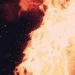 Venezolano muere por explosión de gas en una fábrica