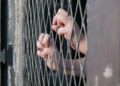 Mujer recluida «por error» en penal varonil de Zacatecas fue violada por dos meses consecutivos