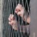 Mujer recluida «por error» en penal varonil de Zacatecas fue violada por dos meses consecutivos
