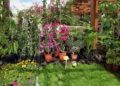 Tips para crear el jardín de tus sueños