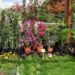 Tips para crear el jardín de tus sueños