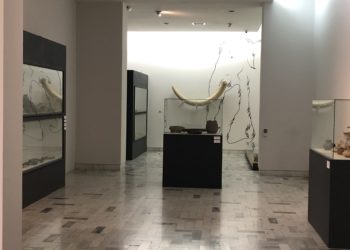 Recorrido guiado por la Sala Prehispánica del Museo Francisco Cossío