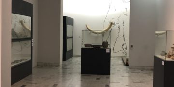 Recorrido guiado por la Sala Prehispánica del Museo Francisco Cossío