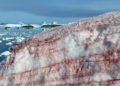 Alga provoca ‘nieve de frambuesa’ en la Antártida
