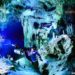 INAH, Suiza y National Geographic juntos para proteger cenotes de Yucatán