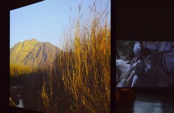 Actos de Dios, de Pablo Vargas Lugo, en el Laboratorio Arte Alameda
