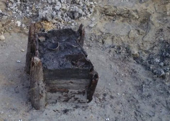 Hallan la estructura de madera más antigua de Europa