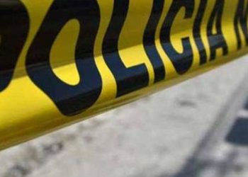 Encuentran 8 cuerpos en rancho de Michoacán