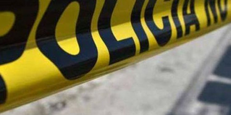 Encuentran 8 cuerpos en rancho de Michoacán