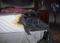 Mueren dos hermanitos tras explotarles una tablet en su recámara