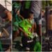 Cuchillos y puñaladas,  violencia en el fútbol de Argentina