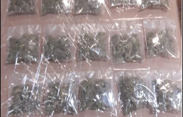48 dosis de enervantes fueron aseguradas, hay 6 detenidos