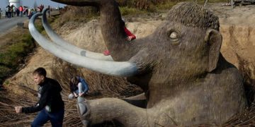 Hallan en Rusia estructura hecha con huesos de mamut