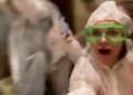 Mueren tres personas en festejo de la instagramer  Ekaterina Didenko